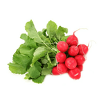 Earth Organig Red Raddish