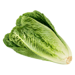 Earth Organic Lettuce