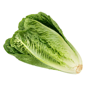 Earth Organic Lettuce