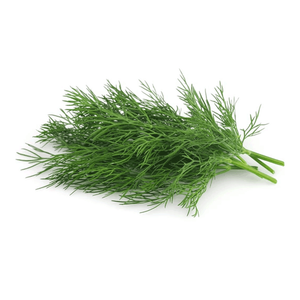 Earth Organic Dill