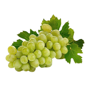 Topsoil Fruits Indian Premium White Seedless Grape