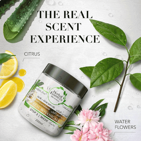 Carousel Main Image 3