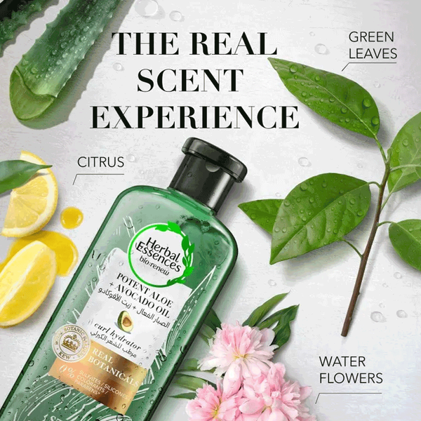 Carousel Main Image 3