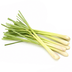 Dutch Lemongrass
