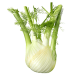 Dutch Fennel