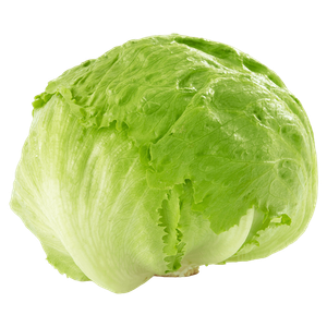 Earth Organic Iceberg Lettuce
