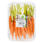 Dutch Leaves Baby Carrot