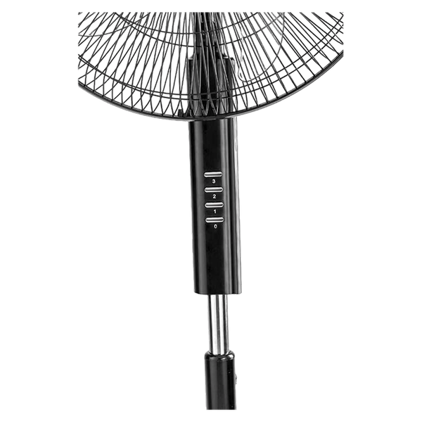 Carousel Main Image 2