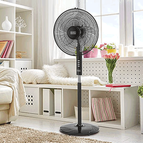 Carousel Main Image 3