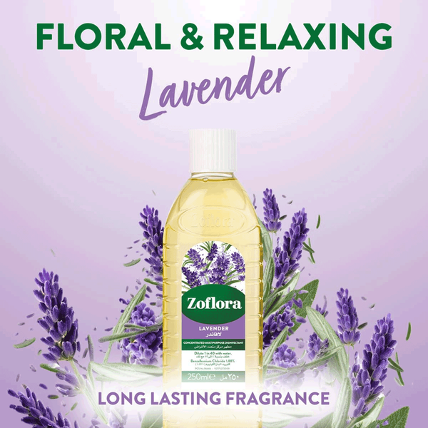 Carousel Main Image 5