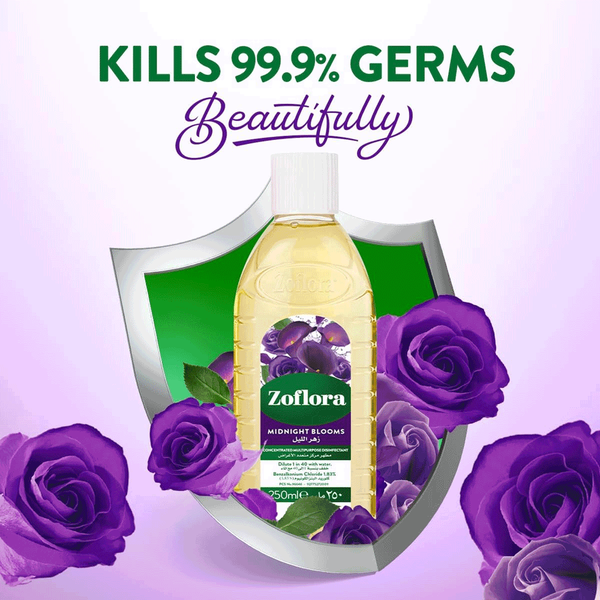 Carousel Main Image 2