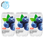 OKF Sparkling Blueberry Drink