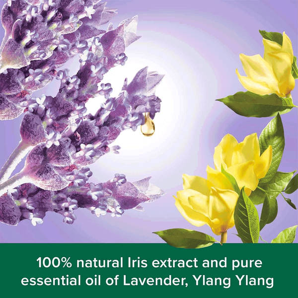 Carousel Main Image 2