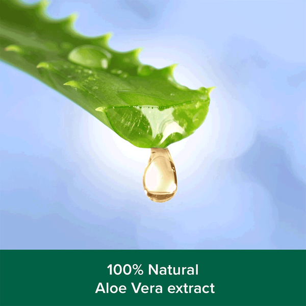 Carousel Main Image 3