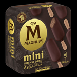 Magnum Dark Chocolate Mini Ice Cream