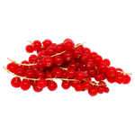 كشمش أحمر هولندي