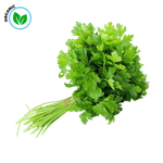 Freshika Organic Coriander Leaves