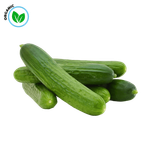 Freshika Organic Fresh Cucumber