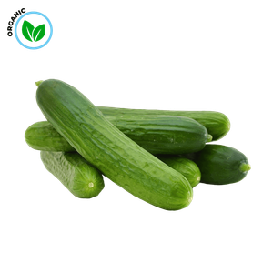 Freshika Organic Fresh Cucumber