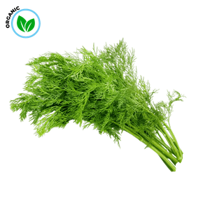 Freshika Organic Dill Leaves
