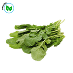 Freshika Organic Arugula