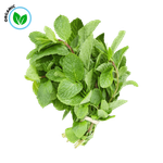 نعناع عضوي من فريشيكا