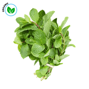 Freshika Organic Mint Leaves