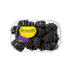 Driscoll's Blackberry