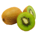 Roots New Zealand Kiwi