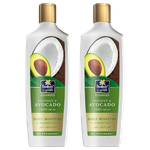 Parachute Advansed Coconut & Avocado Daily Moisture Shampoo