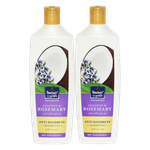 Parachute Advansed Coconut & Rosemary Anti Dandruff Shampoo