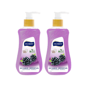 Hobby Black Raspberry Liquid Handwash