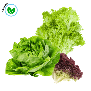 Freshika Organic Assorted Lettuce