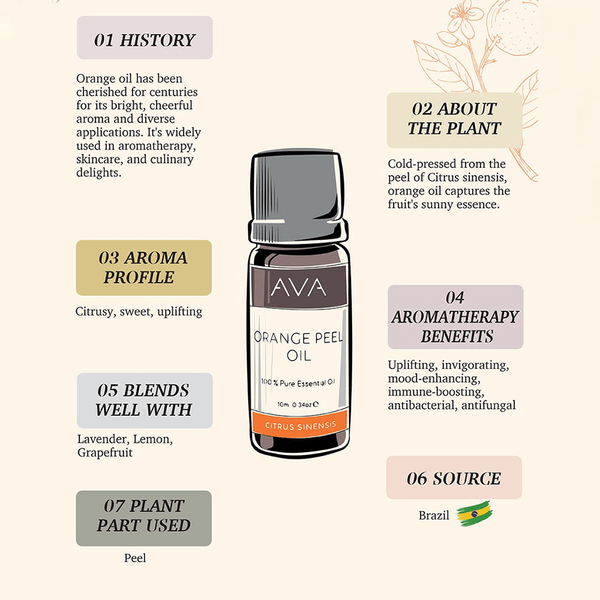 Carousel Main Image 2