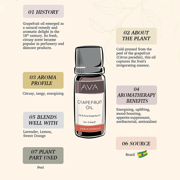 Carousel Main Image 2