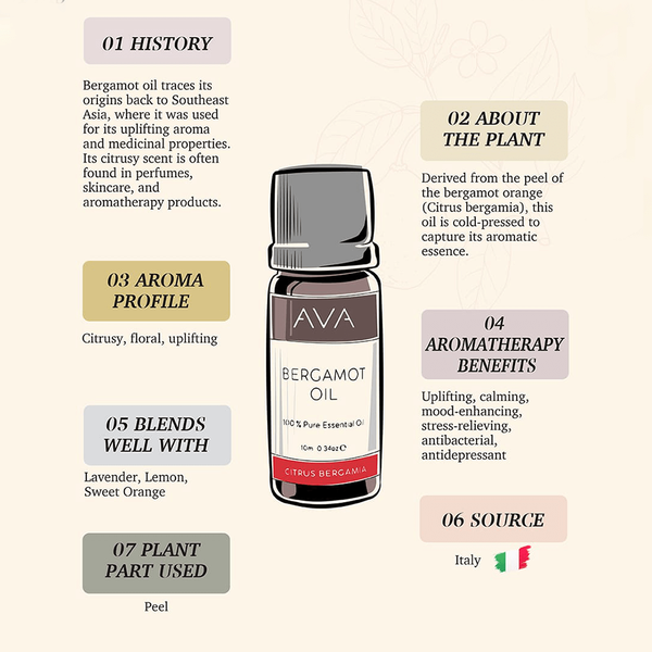 Carousel Main Image 2