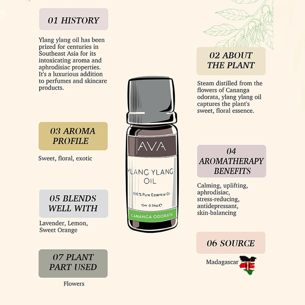 Carousel Main Image 2