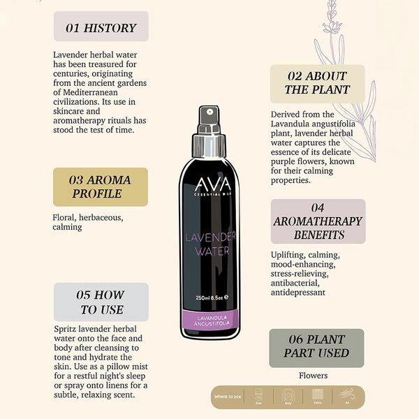 Carousel Main Image 2