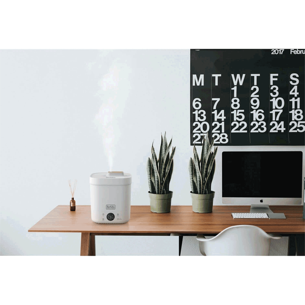 Carousel Main Image 6