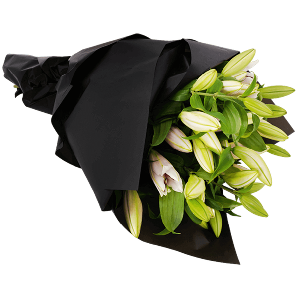 Carousel Main Image 2