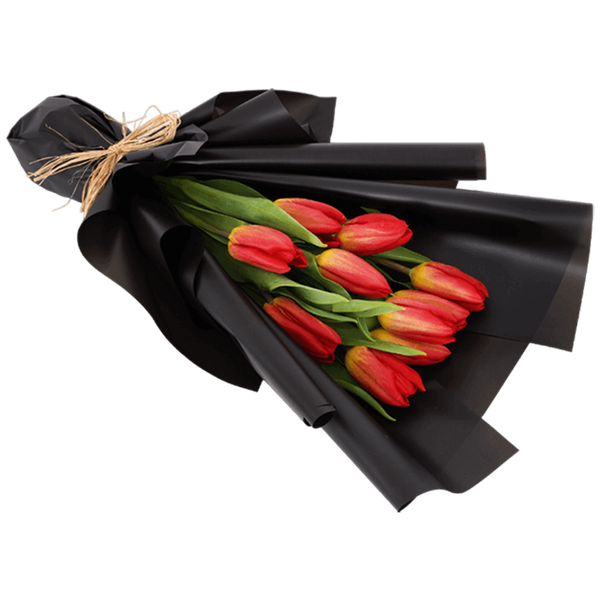 Carousel Main Image 2