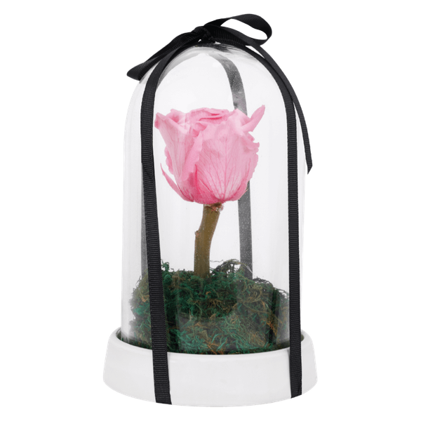 Carousel Main Image 2