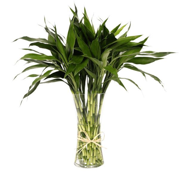 Carousel Main Image 2