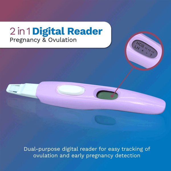 Carousel Main Image 5