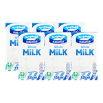 Saudia Full Fat Milk