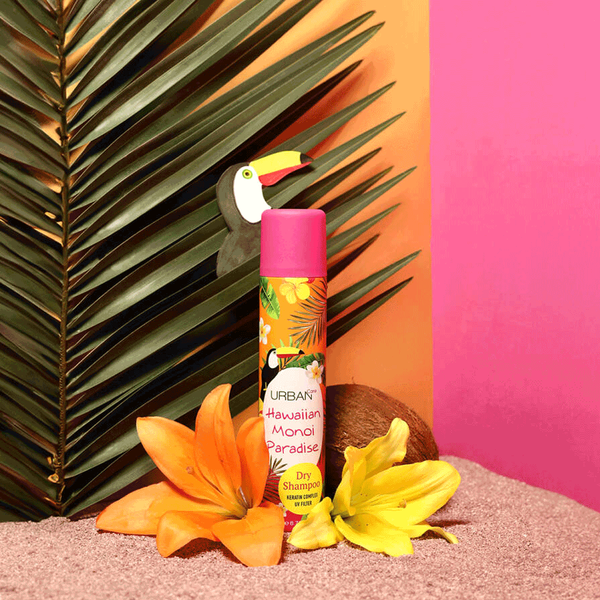 Carousel Main Image 2