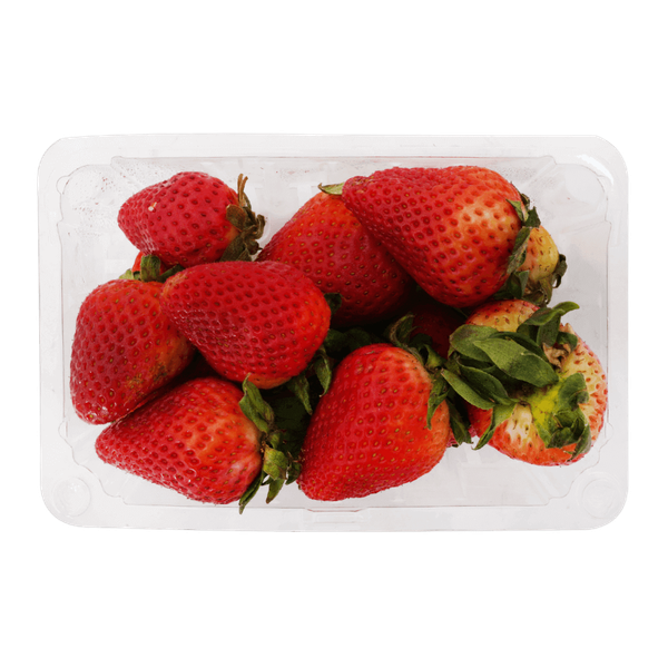 Carousel Main Image 2