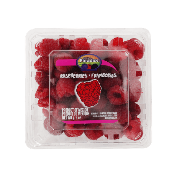 Carousel Main Image 3