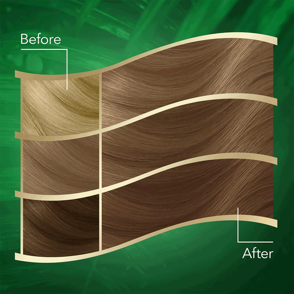 Carousel Main Image 3