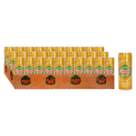 Canada Dry Cream Soda Drink